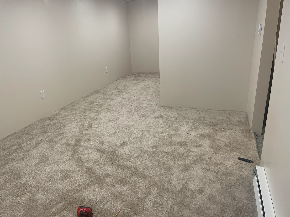 Started the carpet image